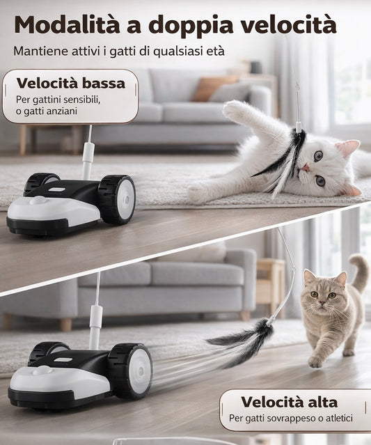 Macchinina Interattiva